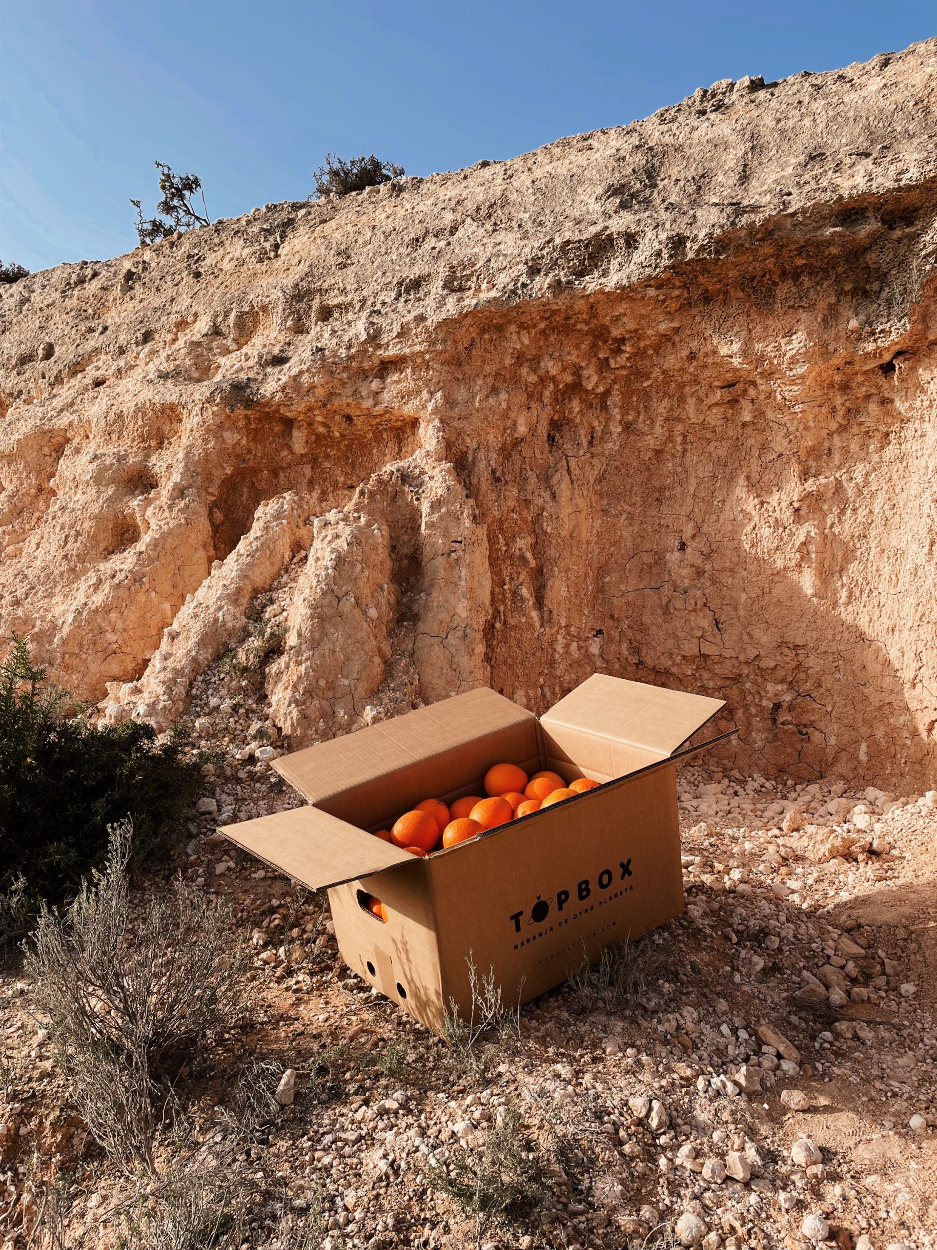 Topbox Naranjas