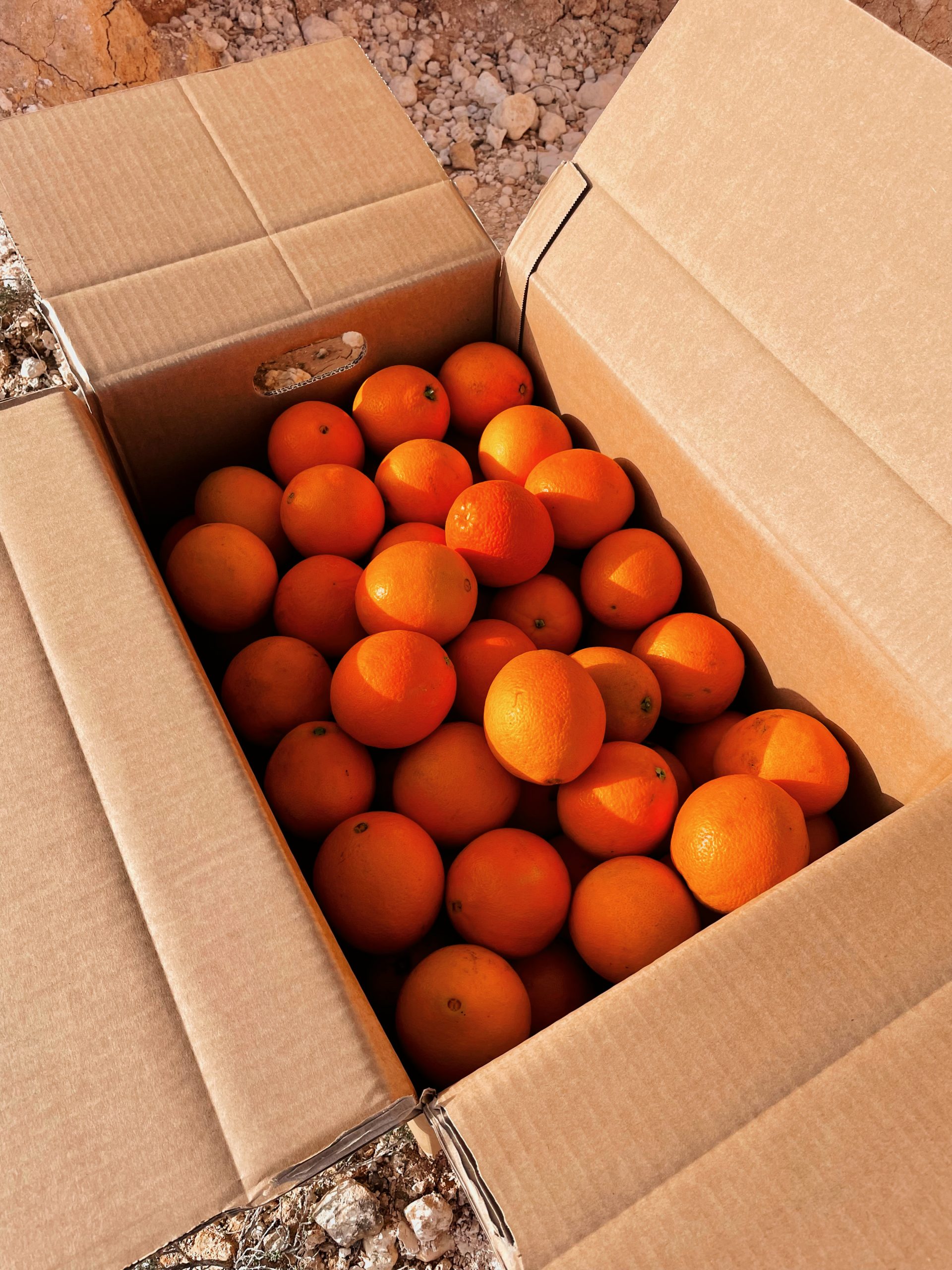 TOPBOX NARANJAS ZUMO