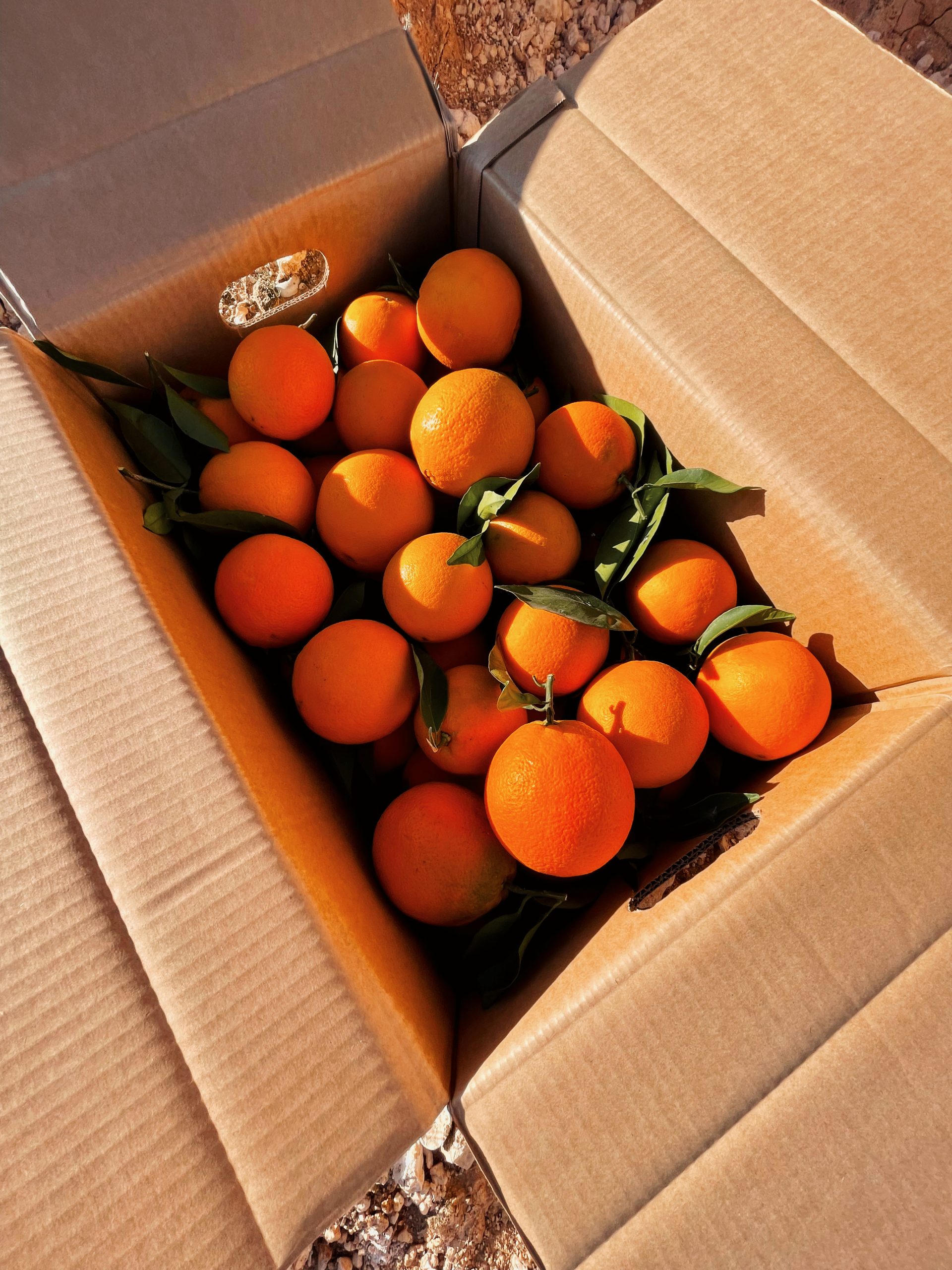 TOPBOX NARANJAS