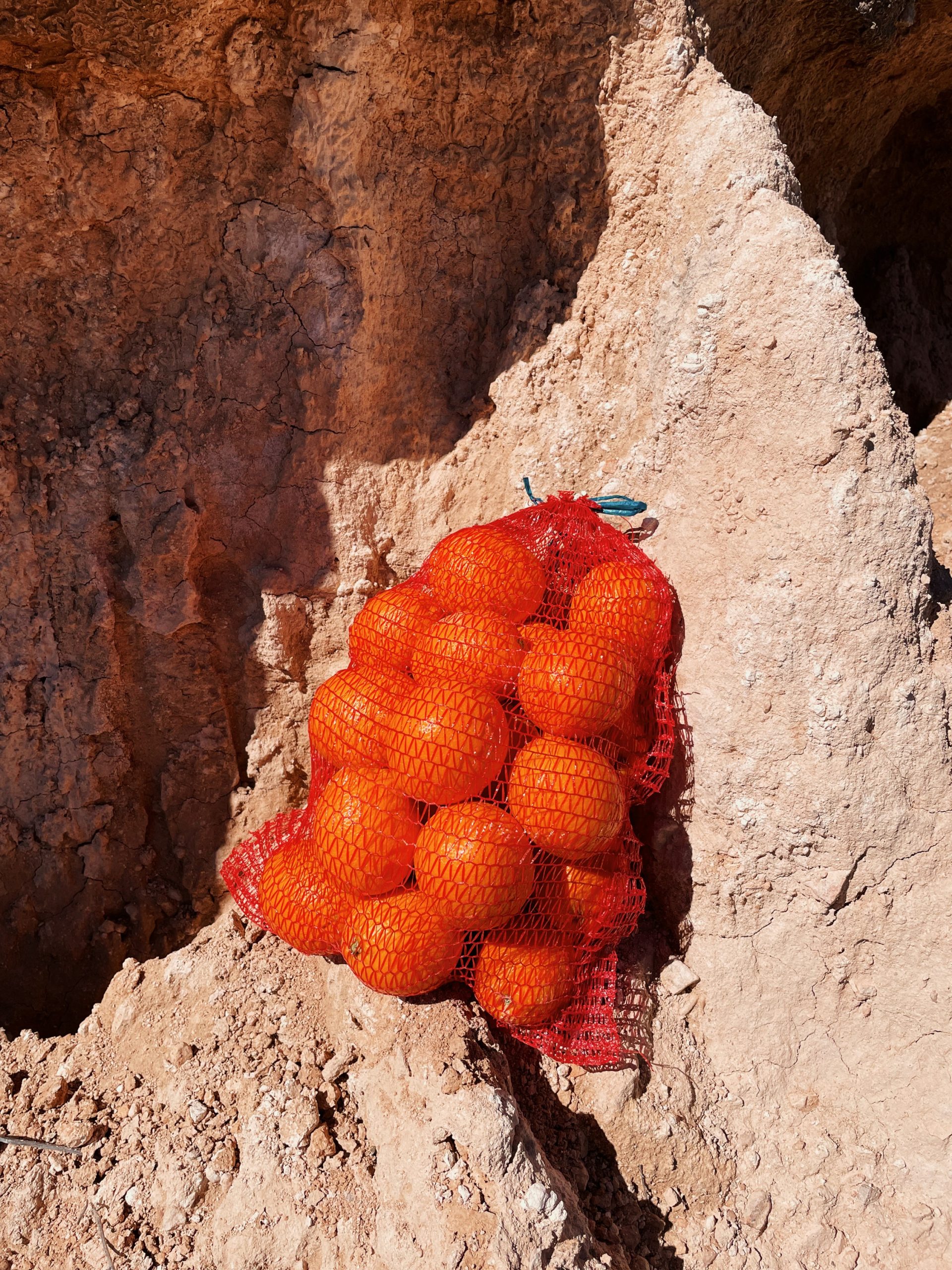 Malla Naranjas M
