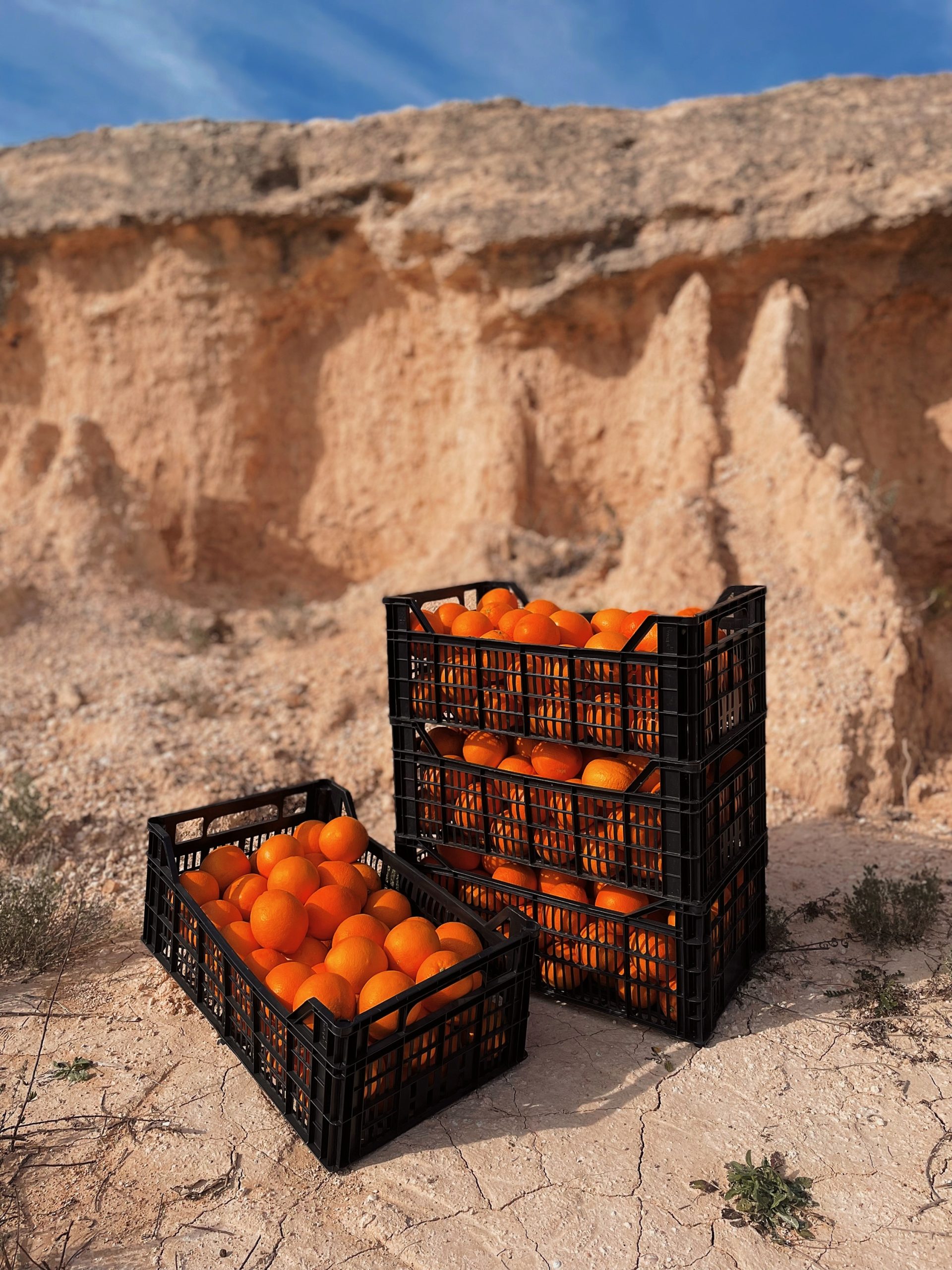 Topbox Pro Naranjas S