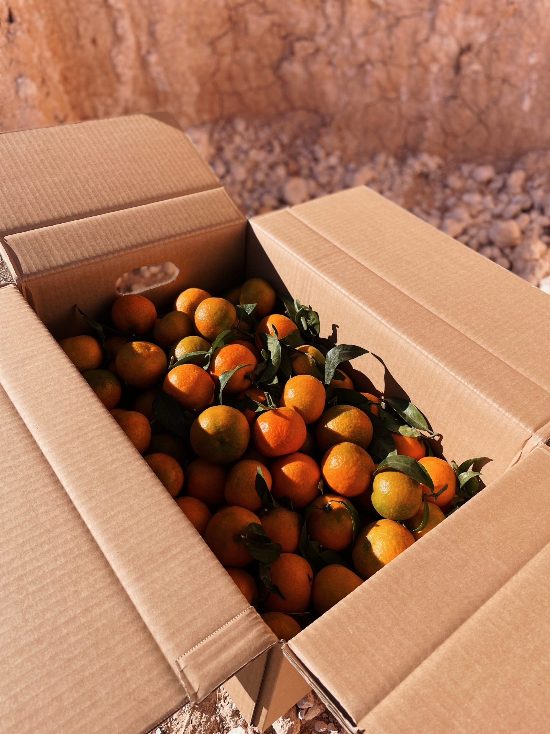 Topbox Mandarinas