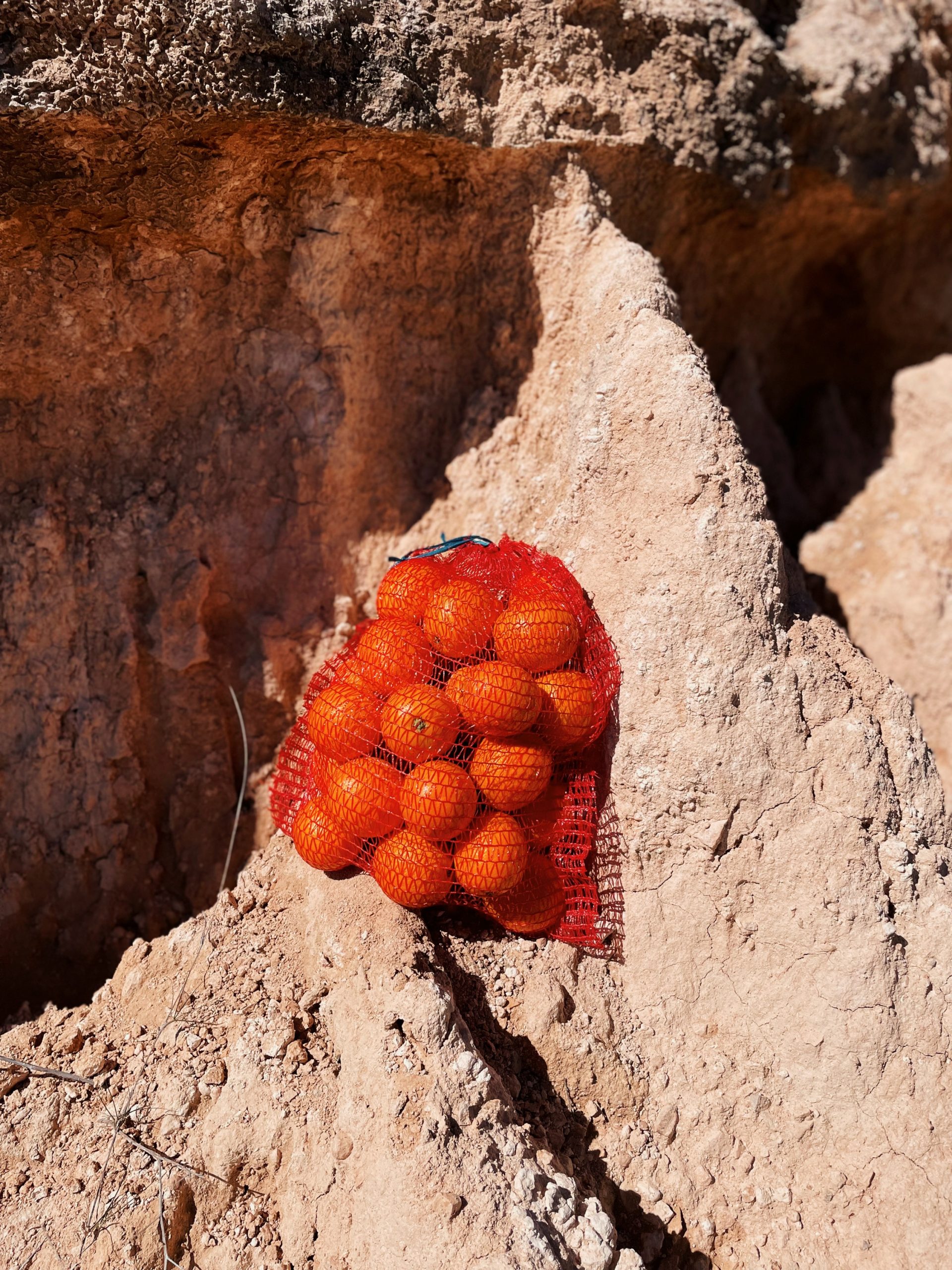 Malla Naranjas