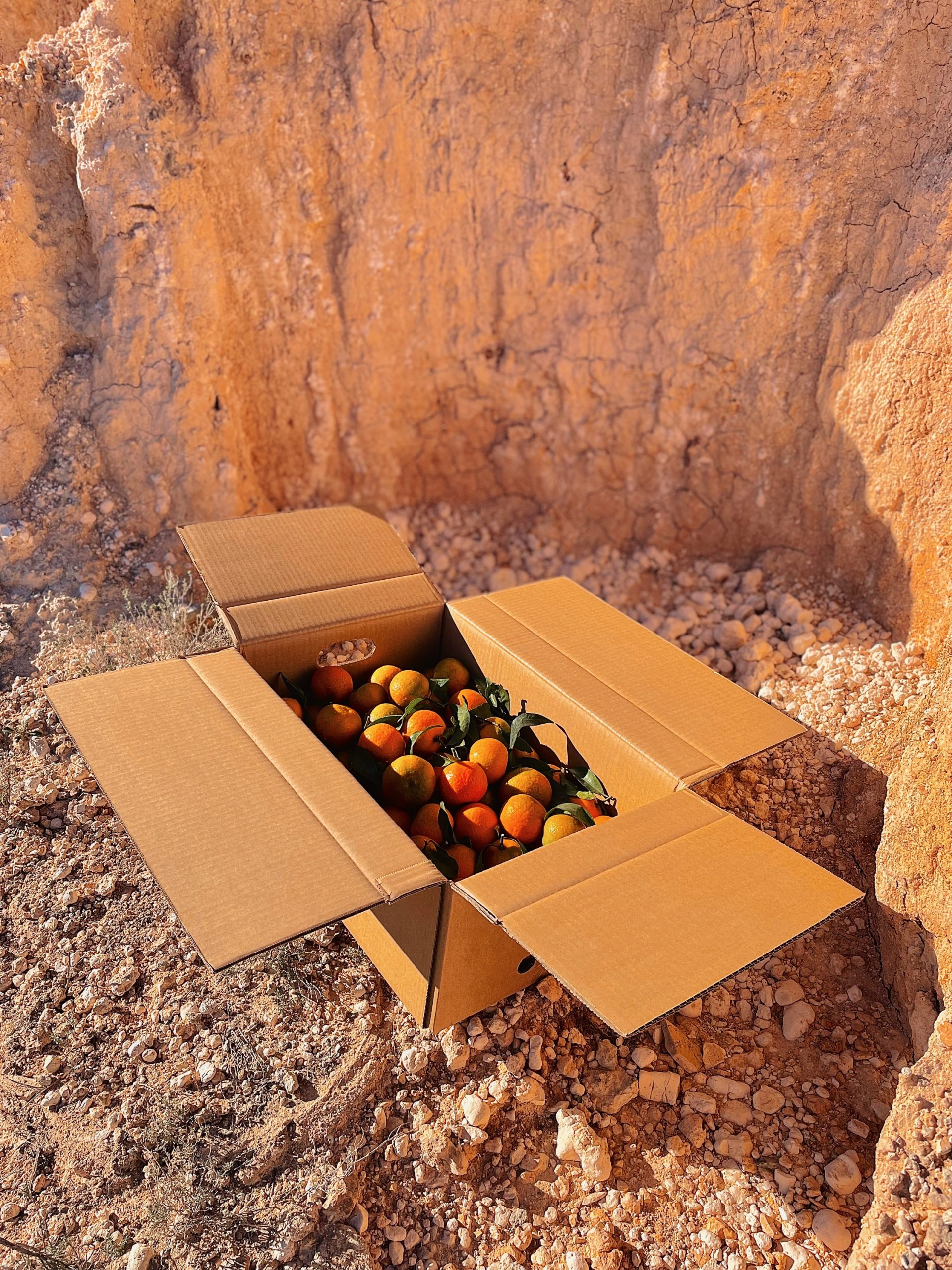 Topbox Mandarinas
